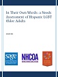 In Their Own Words: a Needs Assessment of Hispanic LGBT Older Adults