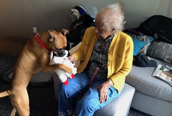 Quality of Life Enhanced for Seniors with Companion Animals